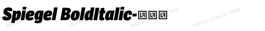 Spiegel BoldItalic字体转换
